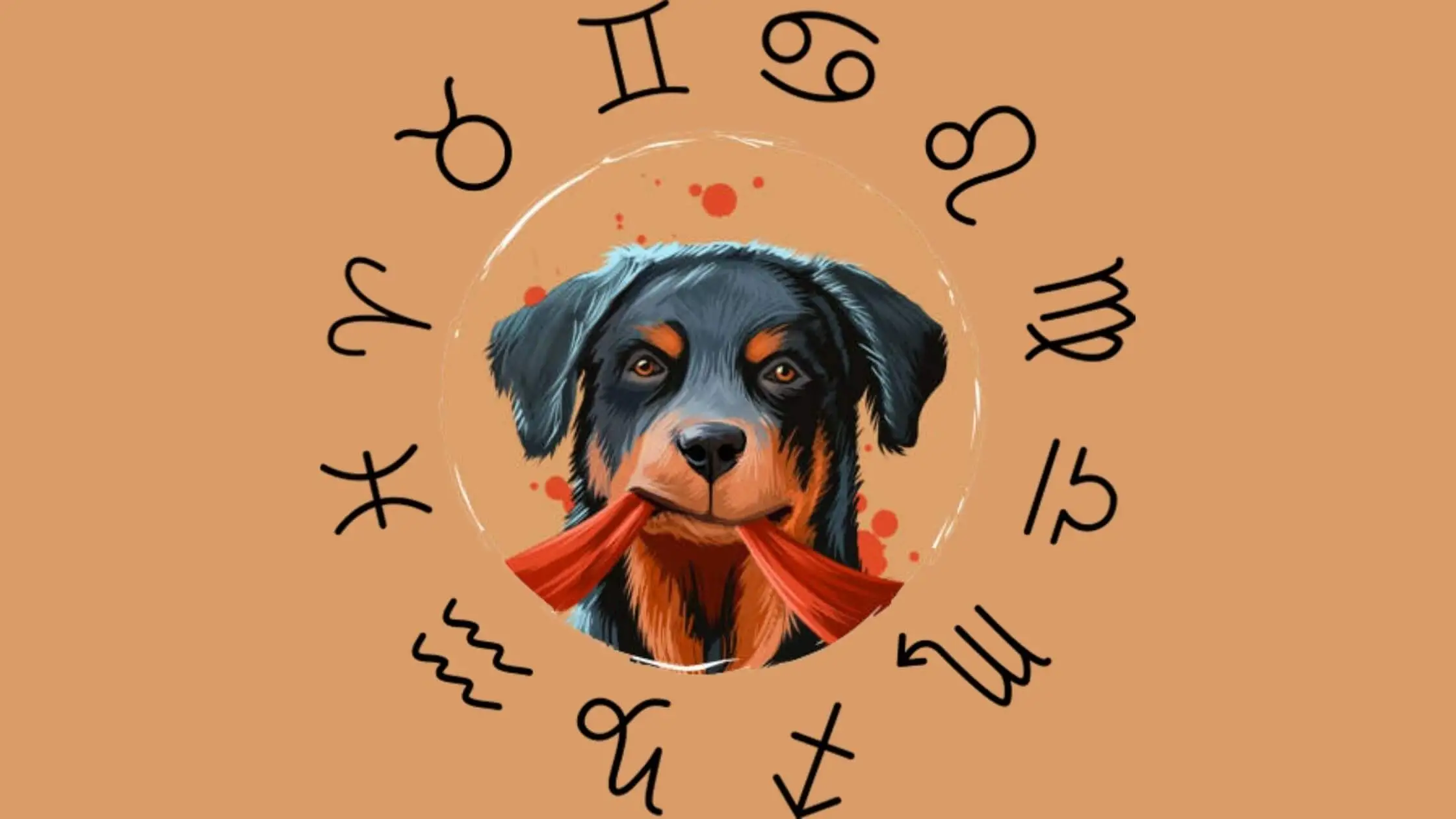 dog zodiac sign