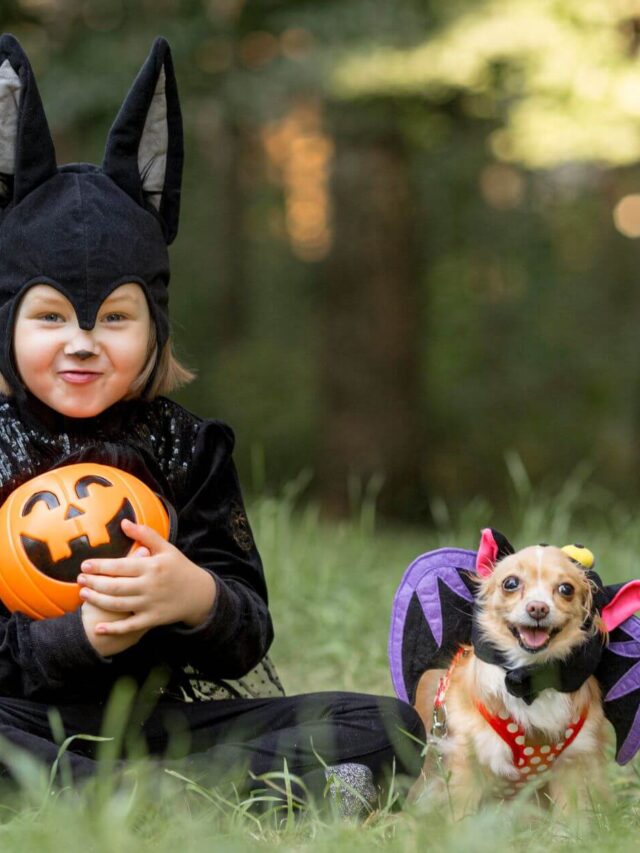 Dog Costume Idea for Halloween